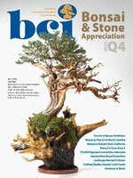 BCI Bonsai & Stone Appreciation Magazine